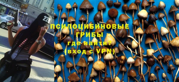 jwh Богородск