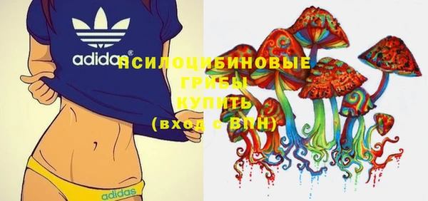 не бодяженный Богородицк