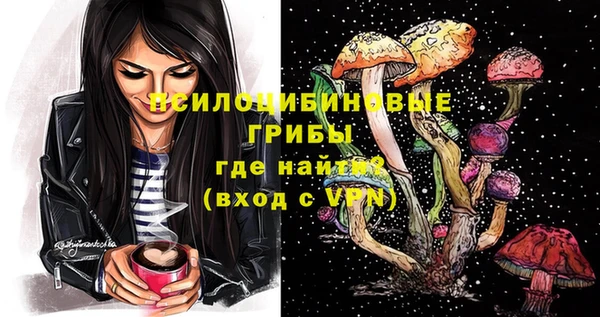 таблы Богданович