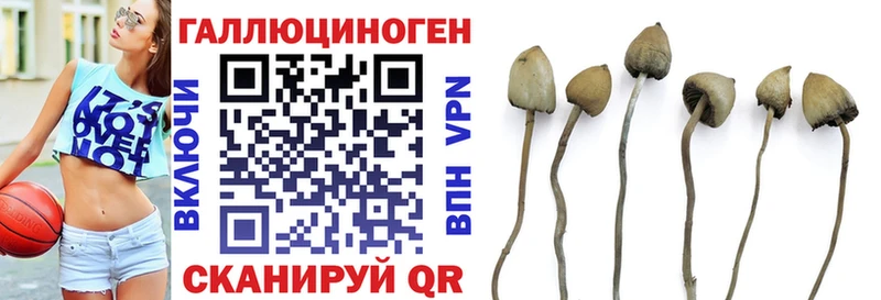 ОМГ ОМГ как войти  где можно купить наркотик  Новый Оскол  Псилоцибиновые грибы мухоморы 